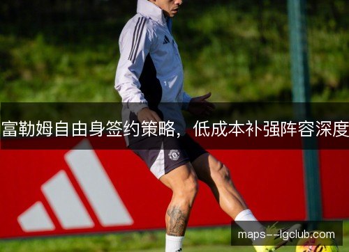 富勒姆自由身签约策略，低成本补强阵容深度